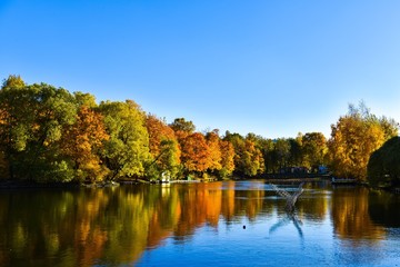 Golden autumn with pond