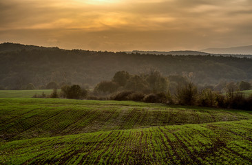 sunset over green field