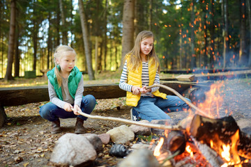 Cute little sisters roasting hotdogs on sticks at bonfire. Children having fun at camp fire....