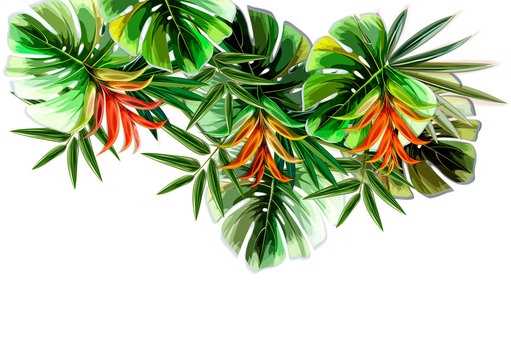 Tropical plants with Tropical flowers
