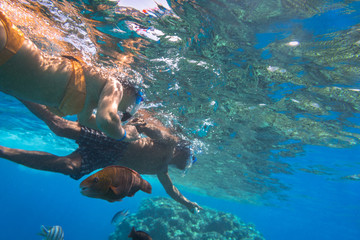 Obraz premium Woman at snorkeling in Red Sea, Egypt