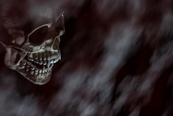 Halloween scarry vampire skull on the dark background with space for text 3d render.