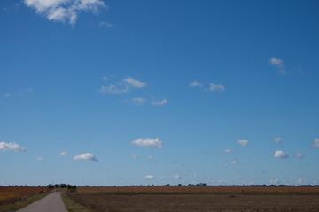 road under blue sky