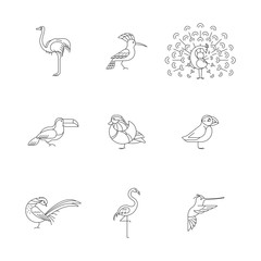 Birds set icon