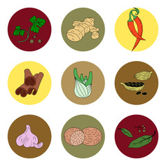 Spices set of colored icons