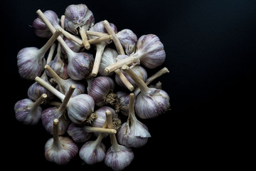 Pattern of fresh garlic at black background