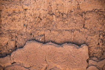 Fototapeta na wymiar Background of adobe - close-up of mud construction from wall of an ancient pueblo structure in the American Southwest - blank & room for copy