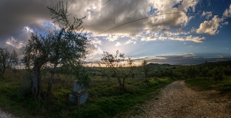 Rural landscape of Tuscany, close to Montespertoli, region of Florence