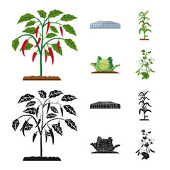 Vector design of greenhouse and plant icon. Set of greenhouse and garden stock vector illustration.
