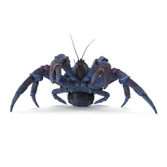 Coconut Crab Isolated On White Background. 3D Illustration