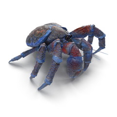 Coconut Crab Isolated On White Background. 3D Illustration
