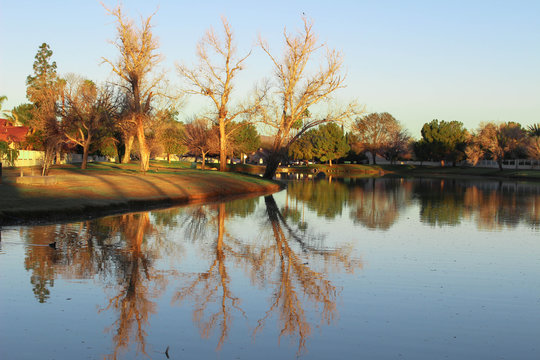 Park In Chandler Arizona