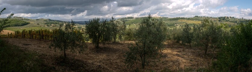 Fototapeta premium Rural panorama in Tuscany, Montespertoli, region of Florence