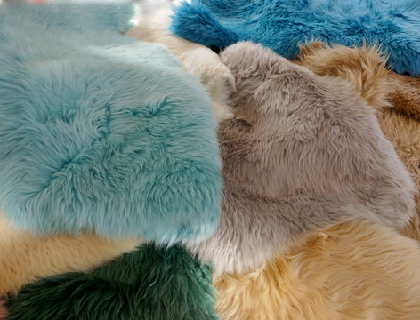 Lambskins, furs in trendy colorful colors, close-up, background and texture of an animal fur