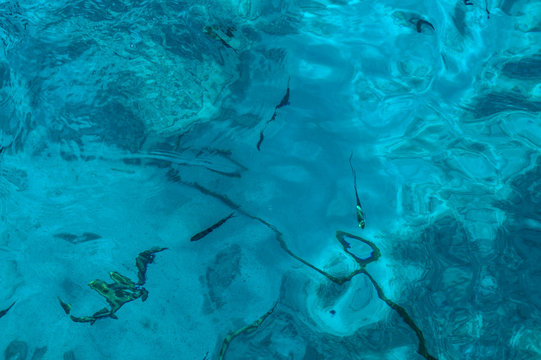 Beautiful blue sea transparent surface with fish. Oceanic fish theme for background. Stock photo for tourist design