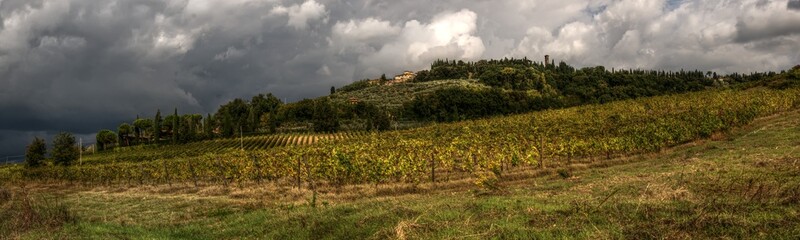 Fototapeta na wymiar Rural panorama in Tuscany, Montespertoli, region of Florence