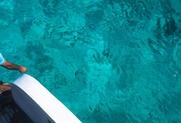 Beautiful blue sea transparent surface with fish. Oceanic fish theme for background. Stock photo...