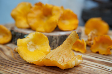 Chanterelle mushrooms