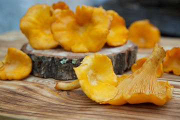 Chanterelle mushrooms