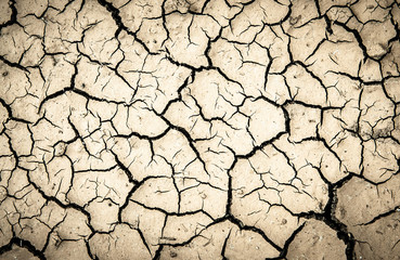 fissure