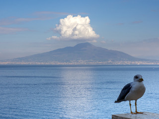 volcan vésuve 
