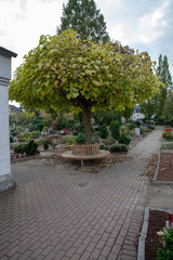 Schöne Holzbank rund um einem Baum