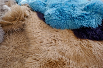Lambskins, furs in trendy colorful colors, close-up, background and texture of an animal fur