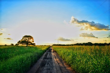 atardecer y caminos