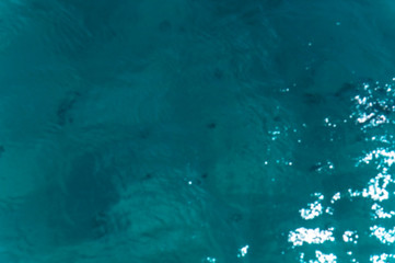 Beautiful blue sea transparent surface with fish. Oceanic fish theme for background. Stock photo for tourist design