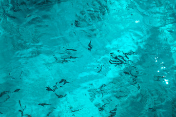Fototapeta na wymiar Beautiful blue sea transparent surface with fish. Oceanic fish theme for background. Stock photo for tourist design
