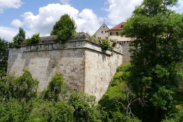 Fototapeta na wymiar Festungsmauern im Wald Schloss Hohentübingen
