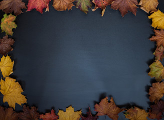 Dark autumn background for an inscription with fresh autumn leaves