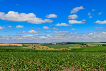 Fototapeta na wymiar Summer landscape with green fields, hills and blue sky