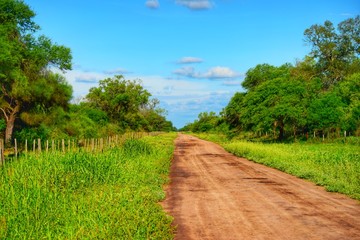 Paisaje con Camino