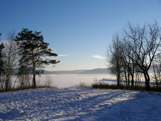 winter landscape with trees and blue sky