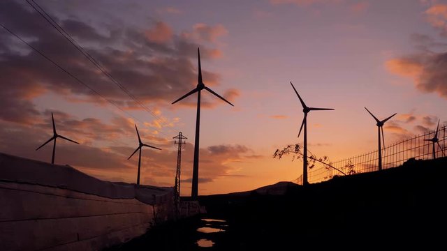 Wind generator silhouettes with orange clouds at sunset.