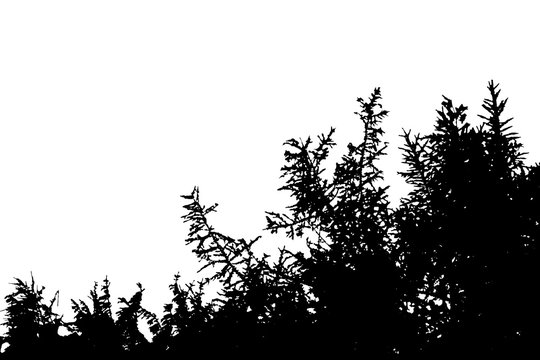 Realistic silhouette of bushes with leaves (vector illustration)