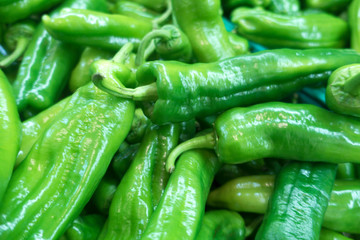 Fresh Organic green  Peppers Background.