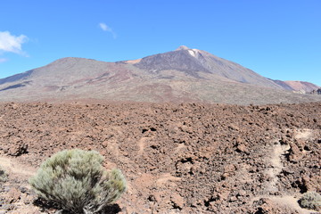 Scenery with Pico Viejo Volcano Mountain and famous volcano Pico del Teide in Tenerife, Europe