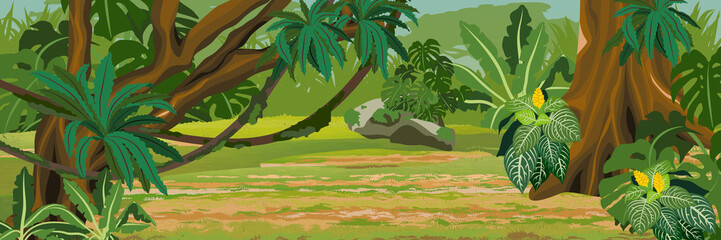 Impassable thick jungle. A tropical forest. Rainforests of Amazonia. Tree, epiphytes, creepers, banana trees, flowers and monsteras. Realistic Vector Landscape