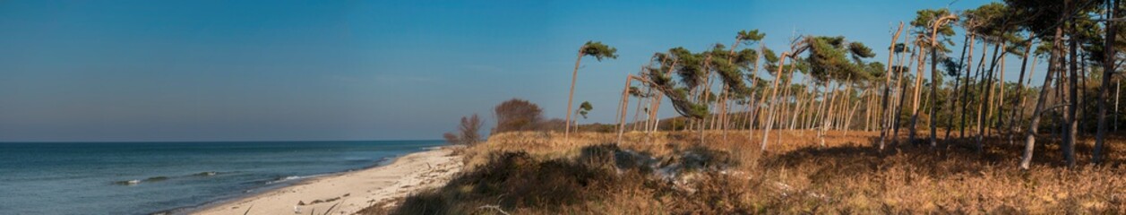 Fototapeta na wymiar Panorama vom Weststrand auf dem Darß