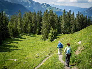 Hikers on trail near Kleine Scheidegg, Grindelwald, Bernese Oberland, Switzerland, Europe
