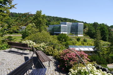 Bänke, Blumen und Blick auf den Botanischen Garten in Tübingen