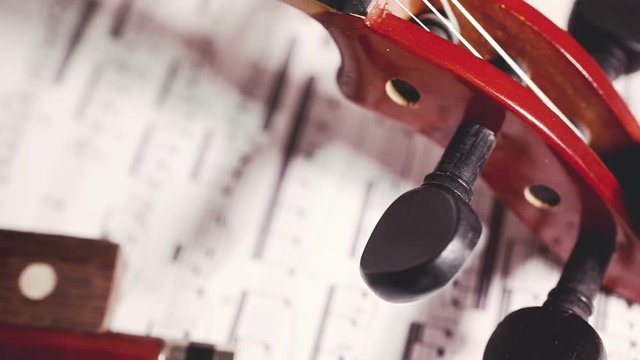 String Music Instruments And Arts.Close Up Violin On White Background.Classic Music And Musical Culture And Entertainment