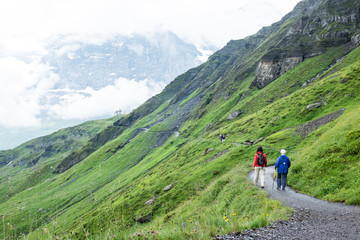 Naklejka na ściany i meble Hikers on trail near Kleine Scheidegg, Grindelwald, Bernese Oberland, Switzerland, Europe