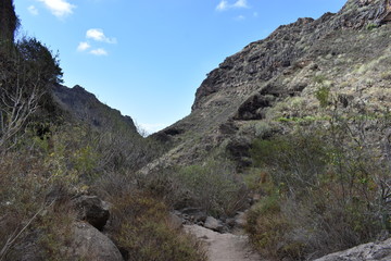 Fototapeta na wymiar Hiking trail at the famous canyon Barranco del Infierno in Adeje in the South of Tenerife, Europe