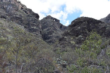 Hiking trail at the famous canyon Barranco del Infierno in Adeje in the South of Tenerife, Europe