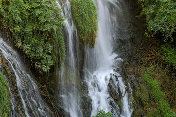 Fototapeta na wymiar Cascades of mountain waterfalls among green plants