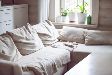 Cosy modern comfortable living sitting room interior, rumpled cushions and plaid on couch wooden walls Flower pots on windowsill daylight sunlight through the window, nobody. Comfy furniture no people