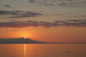 Sunset swimmer